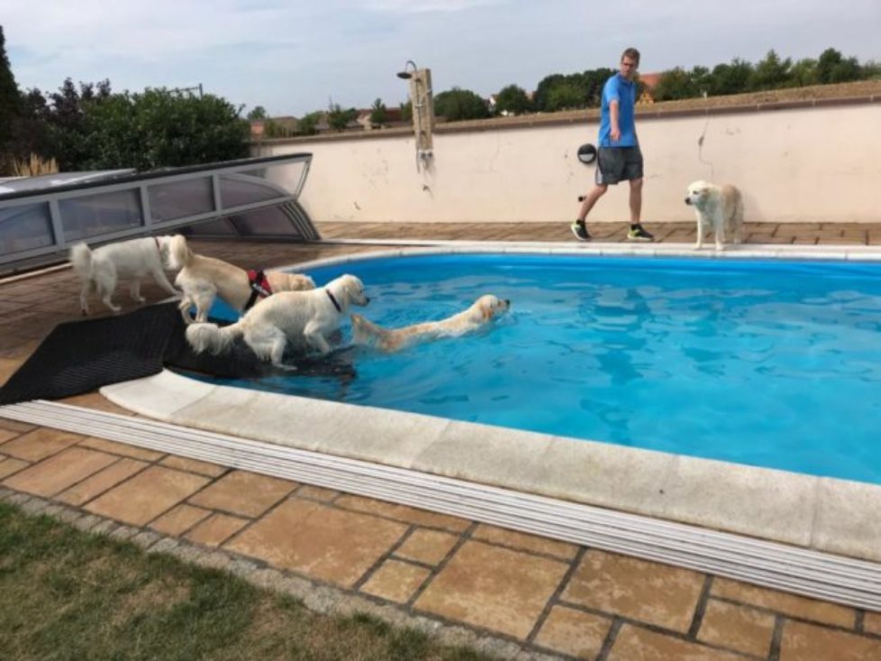 WhatsApp Image 2018-09-28 at 07.00.39 (1) WhatsApp Image 2018-09-28 at 07.00.39 (1)